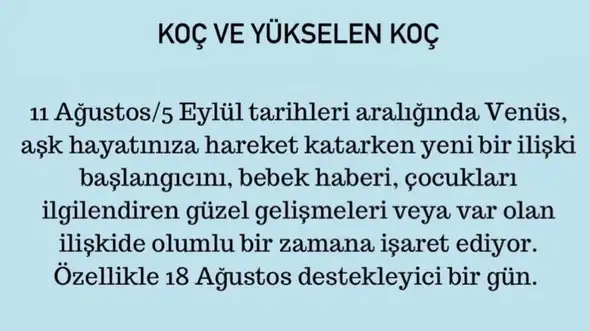 ven asl1 (2).webp