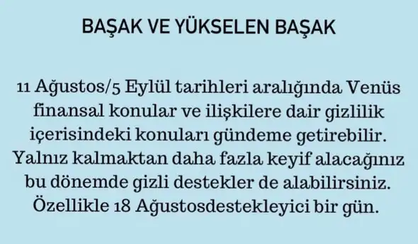ven asl1 (7).webp
