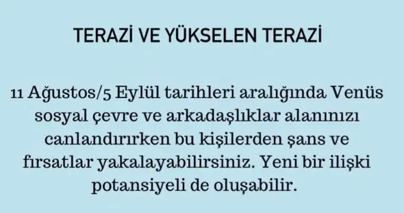 ven asl1 (8).webp