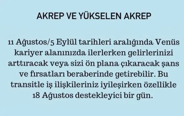 ven asl1 (9).webp