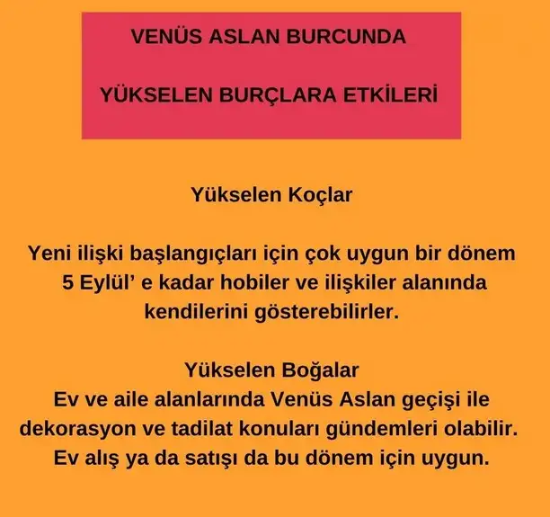 ven asl3 (1).webp