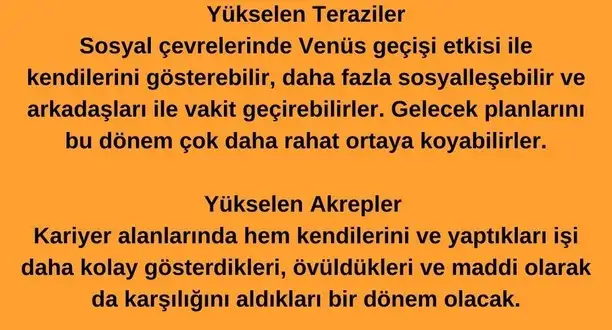 ven asl3 (4).webp
