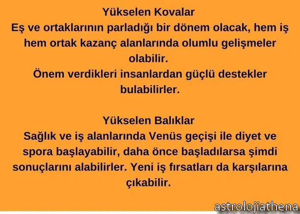 ven asl3 (6).webp