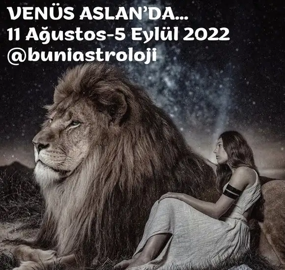 ven asl4 (1).webp