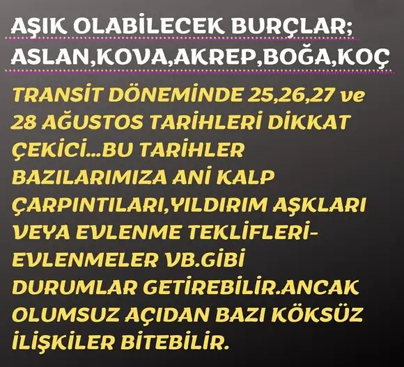 ven asl4 (4).webp