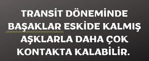 ven asl4 (5).webp