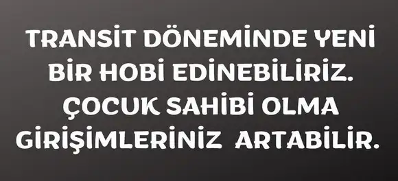 ven asl4 (6).webp