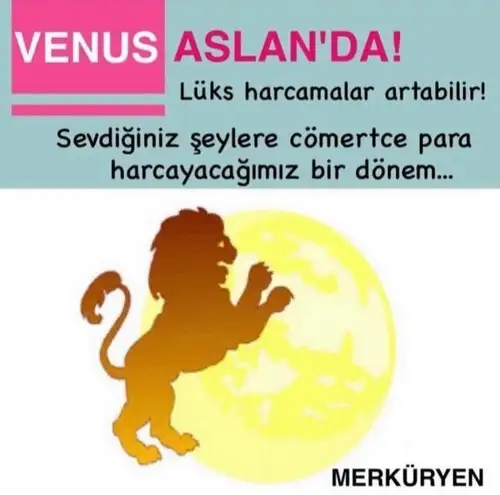ven asl5 (2).webp