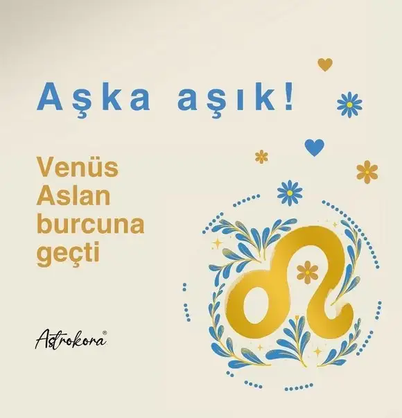 ven asl6 (1).webp