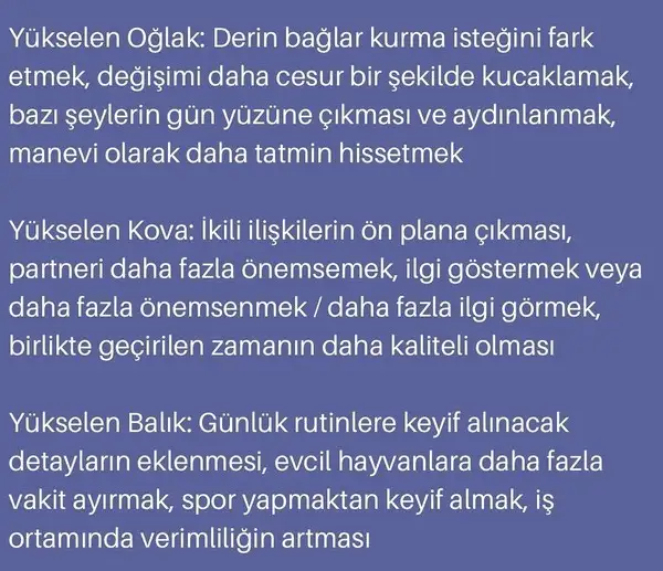 ven asl8 (5).webp
