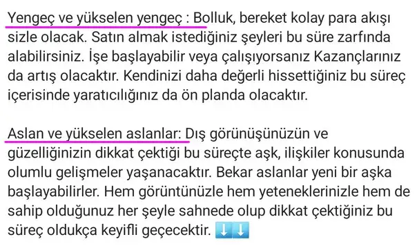 ven aslan5 (3).webp