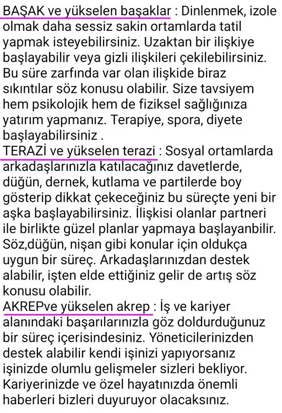 ven aslan5 (4).webp