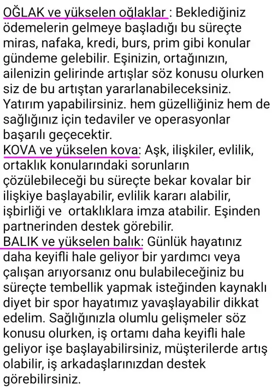 ven aslan5 (6).webp