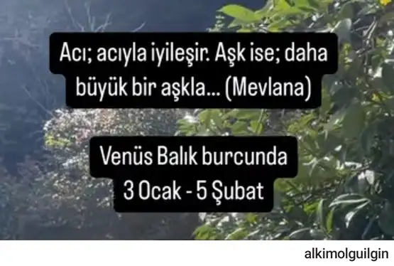 ven b5 (1).webp