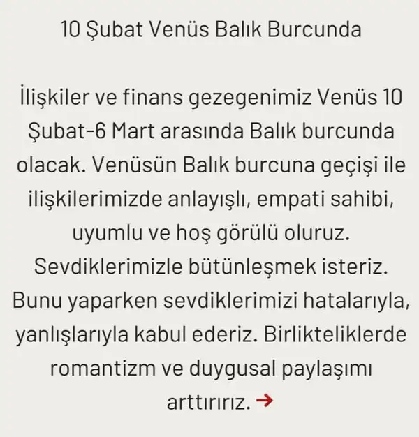 ven bal (1).webp