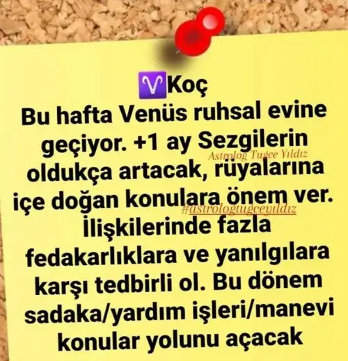 ven bal1 (1).webp