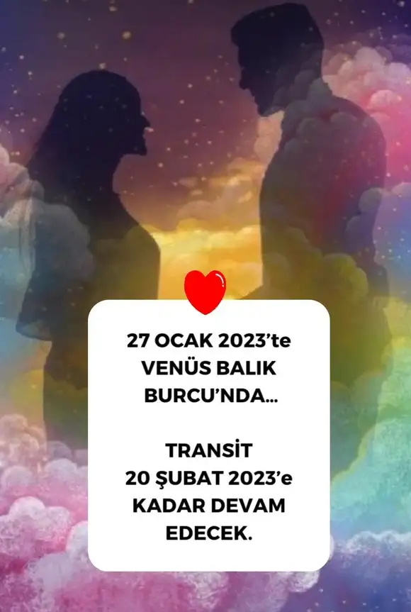 ven bal1 (1).webp