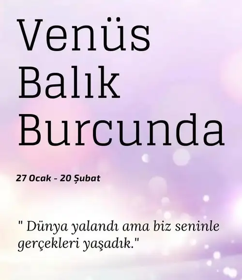 ven bal1 (1).webp
