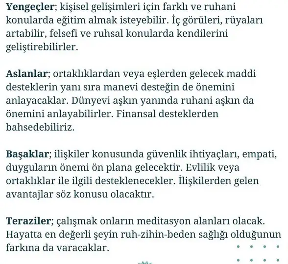 ven bal1 (3).webp
