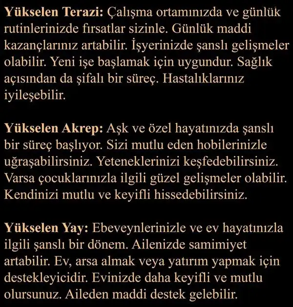 ven bal1 (5).webp