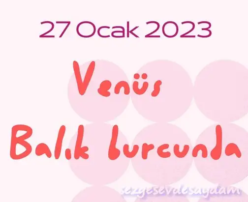 ven bal12 (1).webp