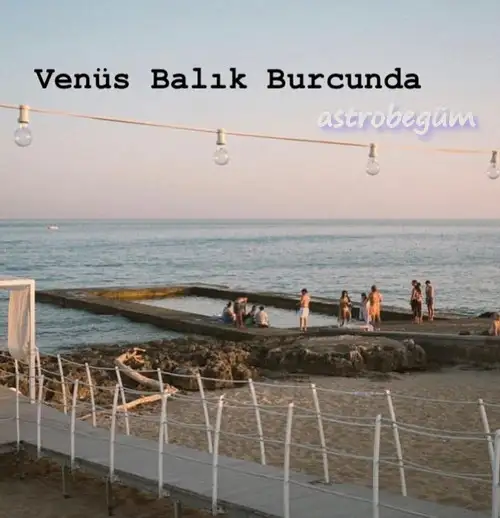 ven bal12 (1).webp