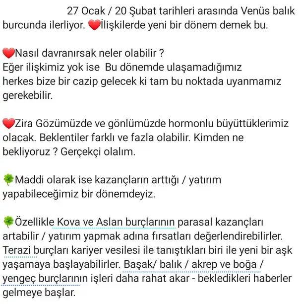 ven bal12 (2).webp