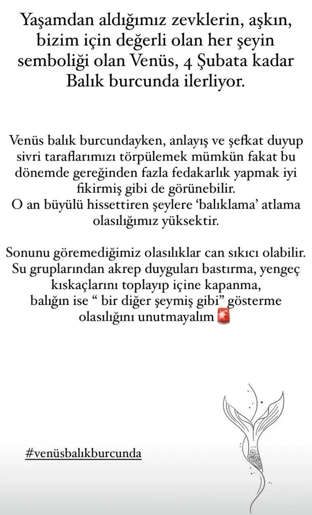 ven bal13 (1).webp