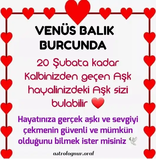 ven bal13.webp