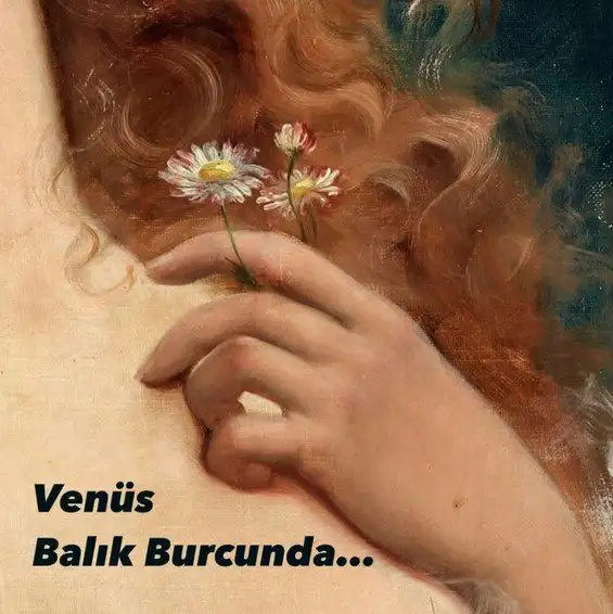 ven bal14 (1).webp