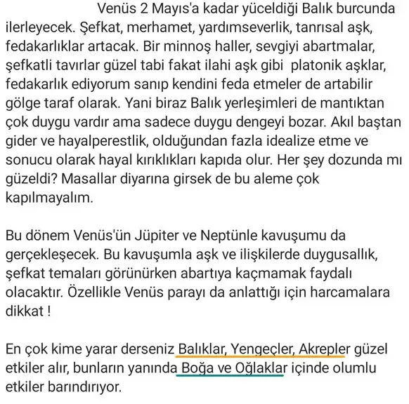 ven bal2 (2).webp