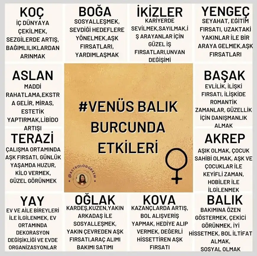 ven bal25.webp