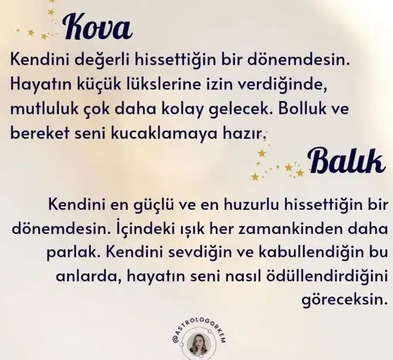 ven bal28 (6).webp