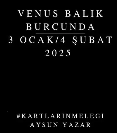 ven bal29 (1).webp
