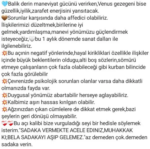 ven bal29 (2).webp