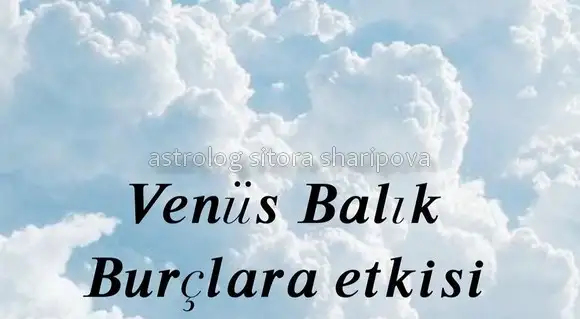 ven bal3 (1).webp