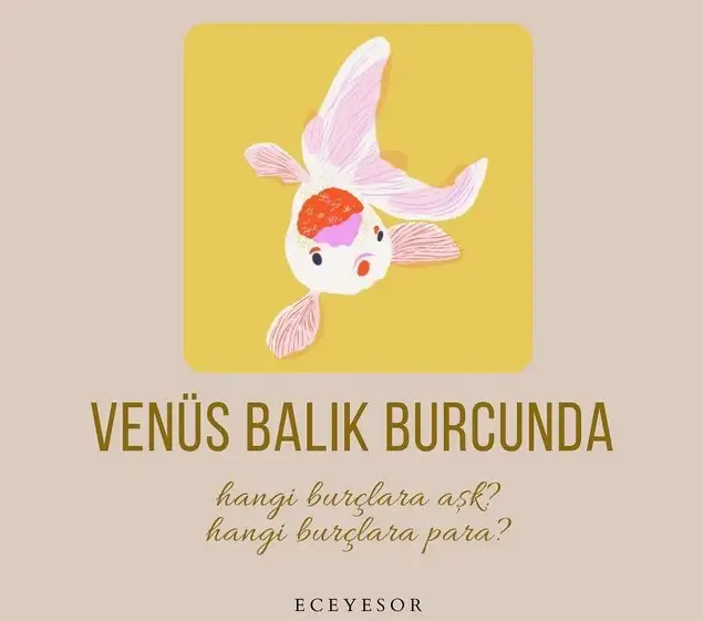 ven bal3 (1).webp