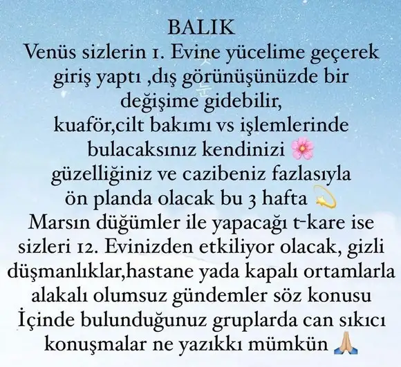 ven bal3 (13).webp