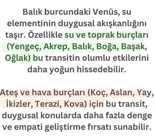 ven bal3 (4).webp