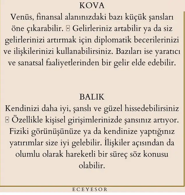 ven bal3 (7).webp