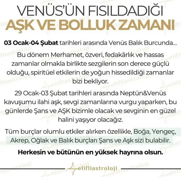 ven bal3.webp