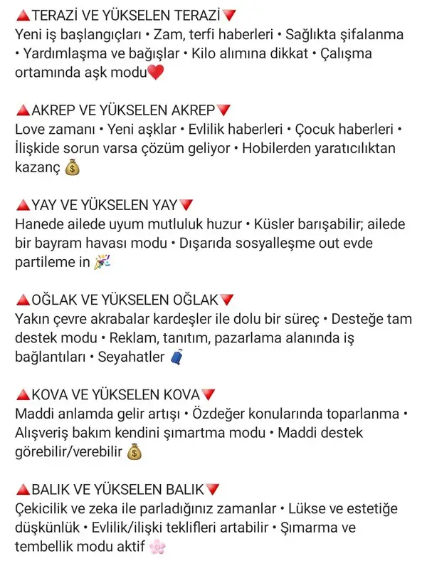 ven bal30 (3).webp