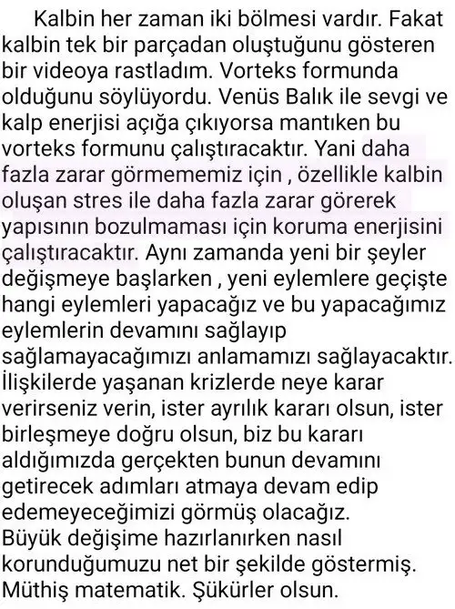 ven bal32 (7).jpg