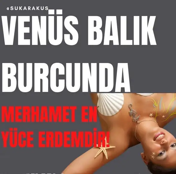 ven bal4 (1).webp