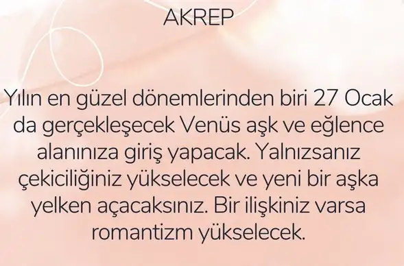 ven bal4 (10).webp