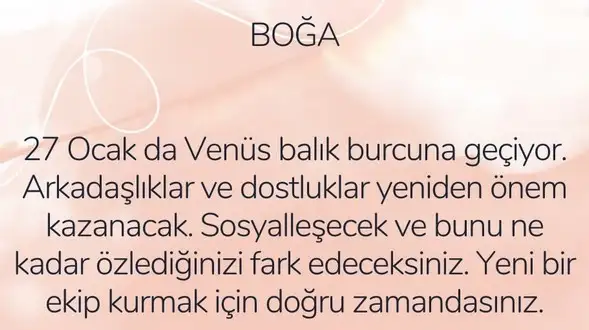 ven bal4 (3).webp