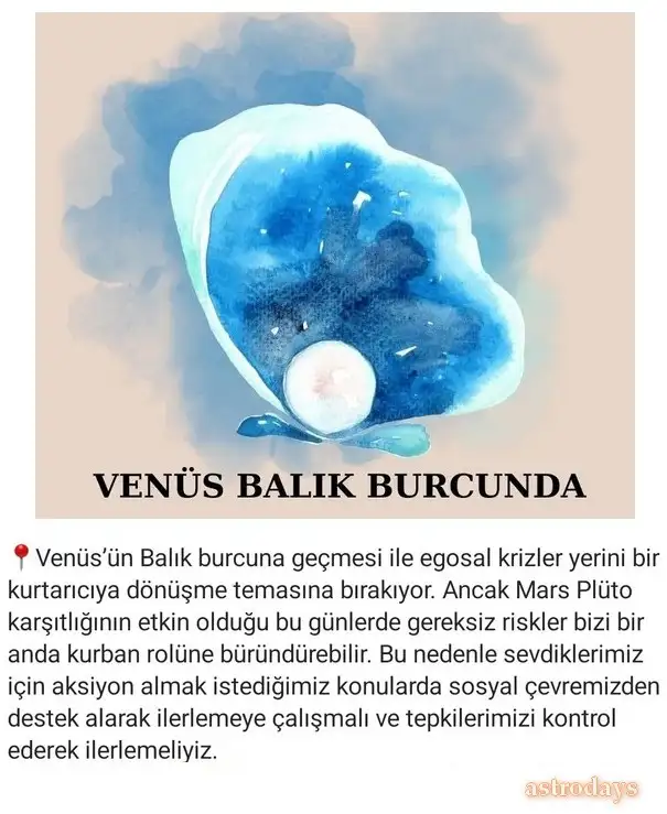 ven bal4.webp