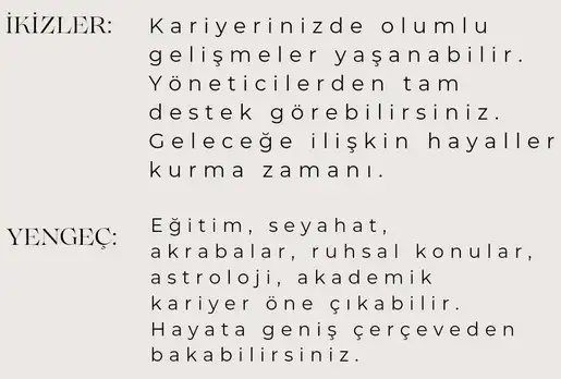 ven bal44 (5).webp
