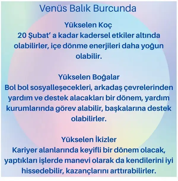 ven bal5 (1).webp