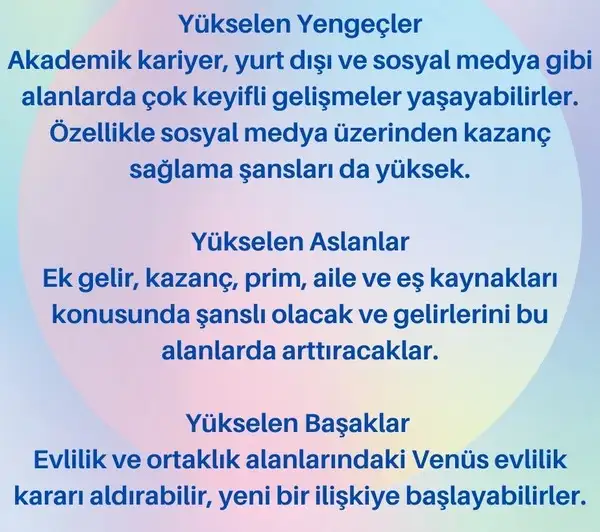 ven bal5 (2).webp